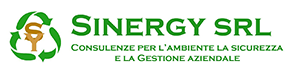 sinergyweb